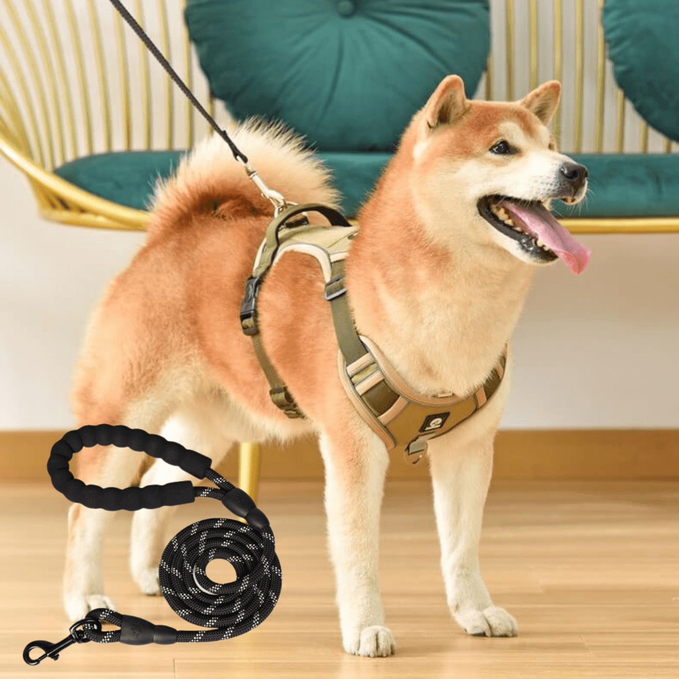 Harnais chien anti traction - Woof & Walk™